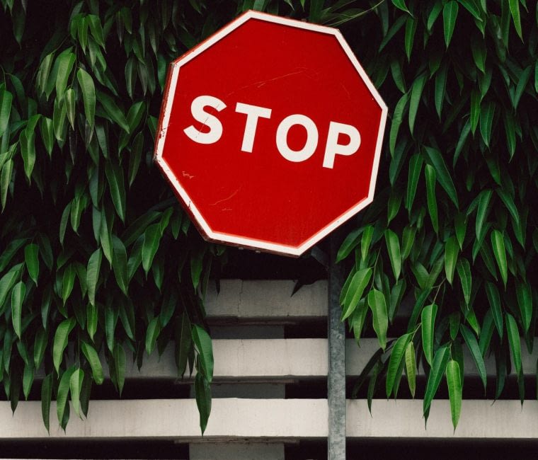 bogomil-mihaylov-OHxTNeAtNRs-unsplash bogomil-mihaylov-OHxTNeAtNRs-unsplash